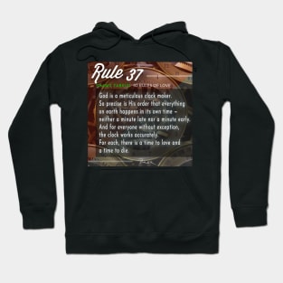 40 RULES OF LOVE - 37 Hoodie